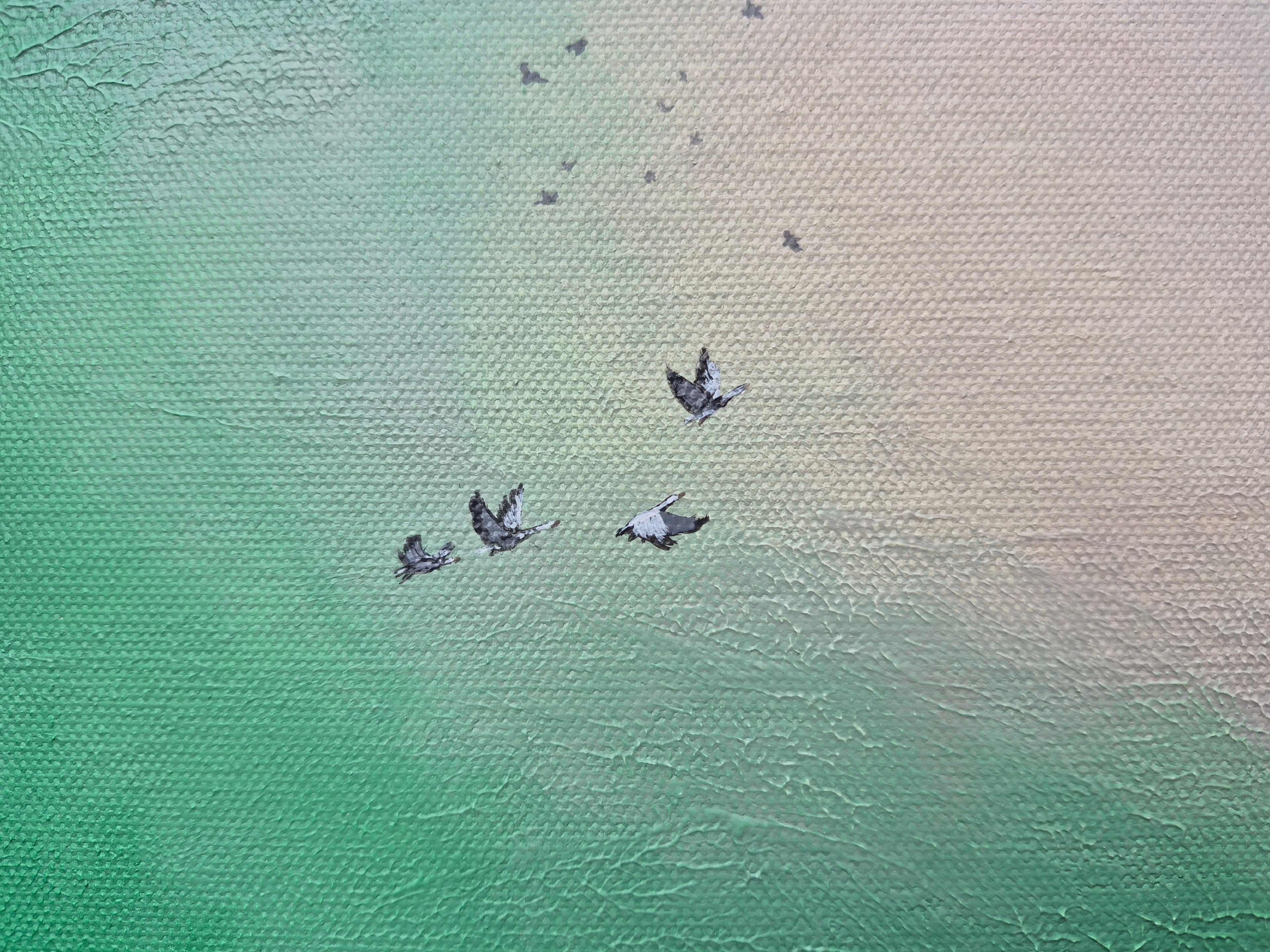 Between Water and Air