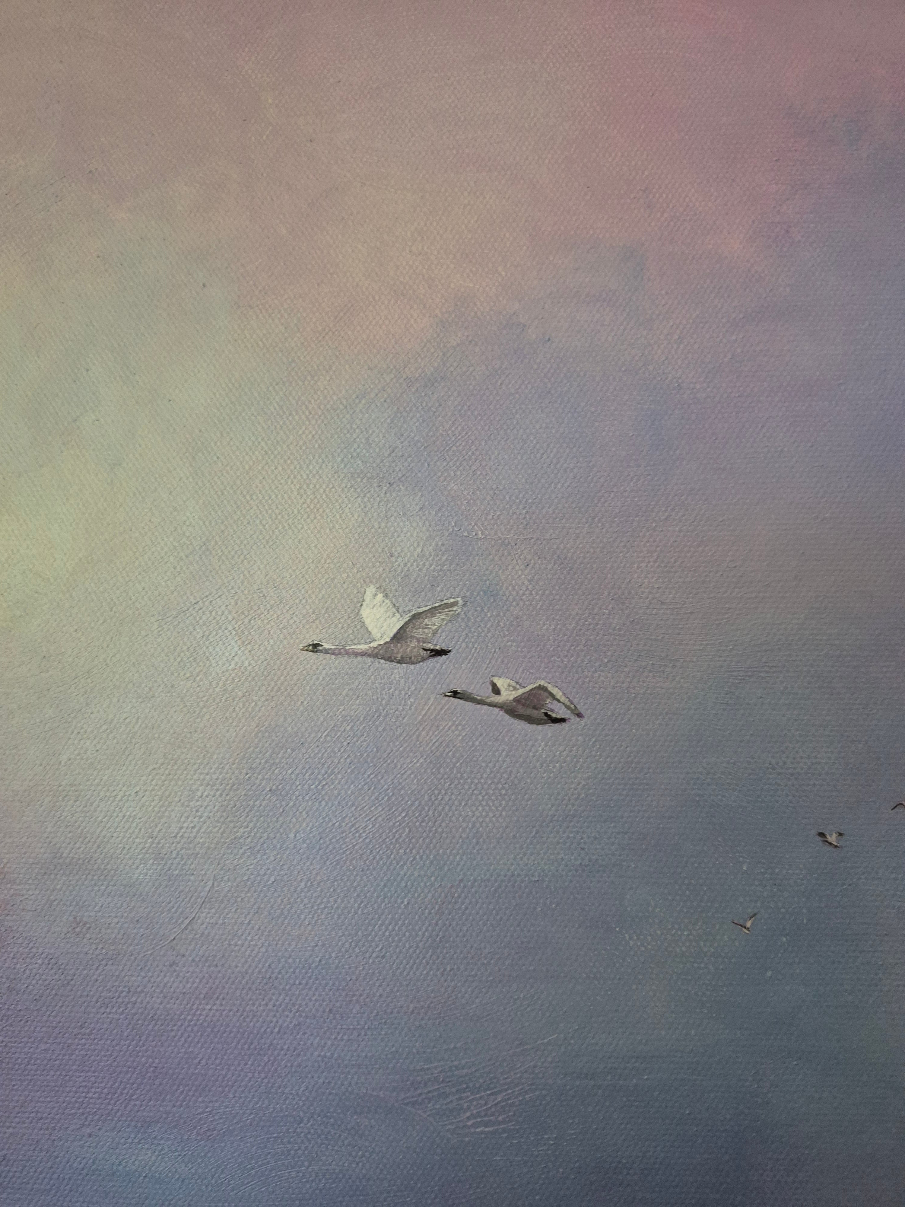 Dance of the Swans